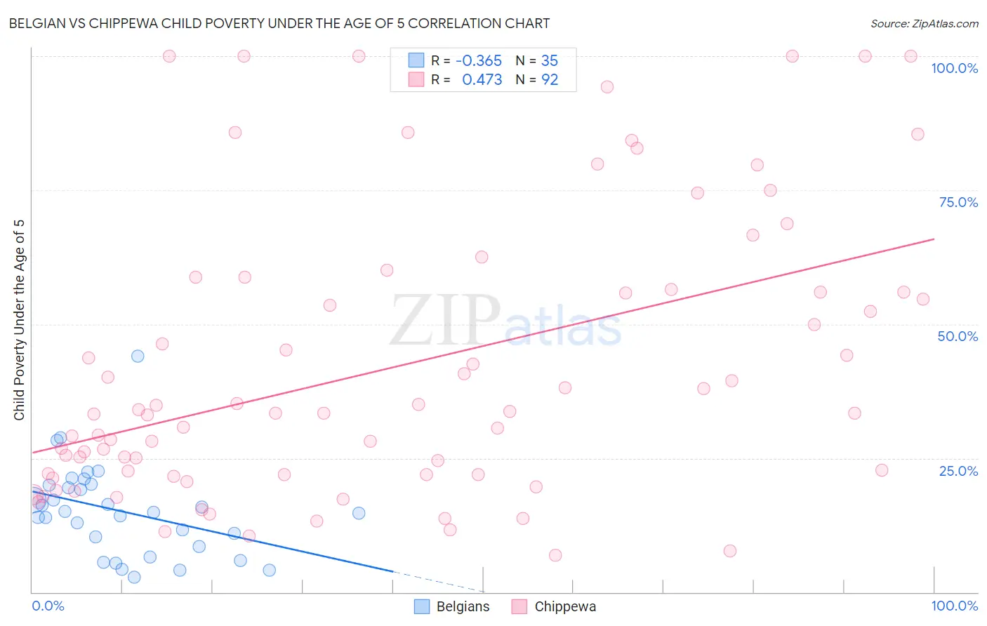 Belgian vs Chippewa Child Poverty Under the Age of 5