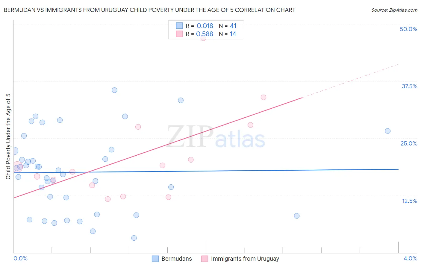 Bermudan vs Immigrants from Uruguay Child Poverty Under the Age of 5