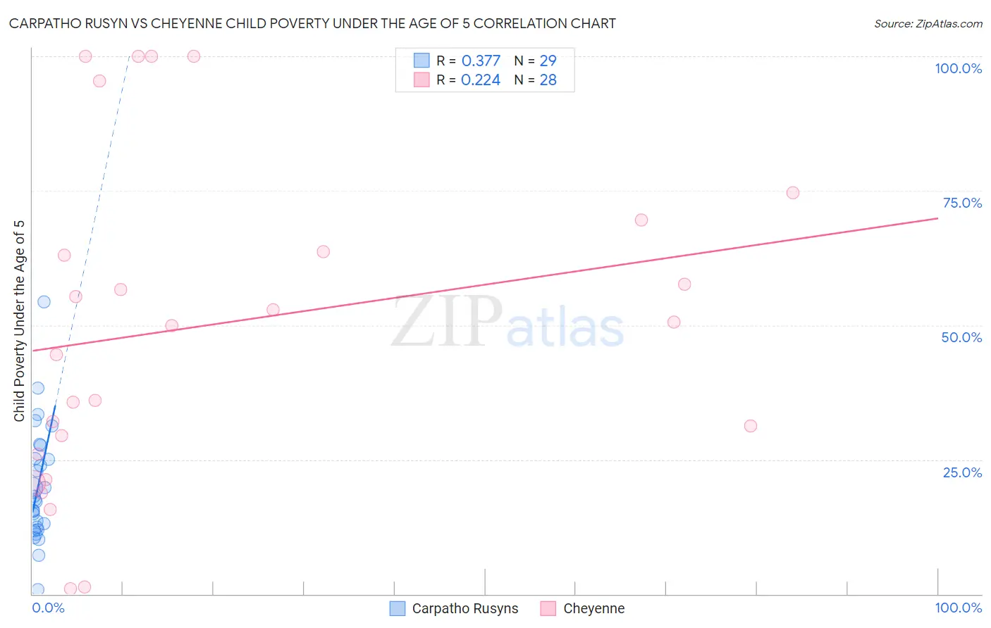 Carpatho Rusyn vs Cheyenne Child Poverty Under the Age of 5