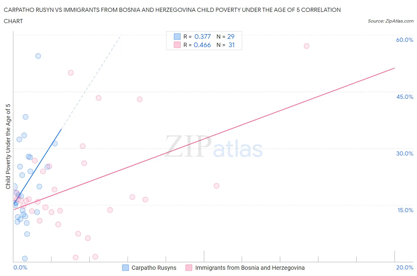 Carpatho Rusyn vs Immigrants from Bosnia and Herzegovina Child Poverty Under the Age of 5