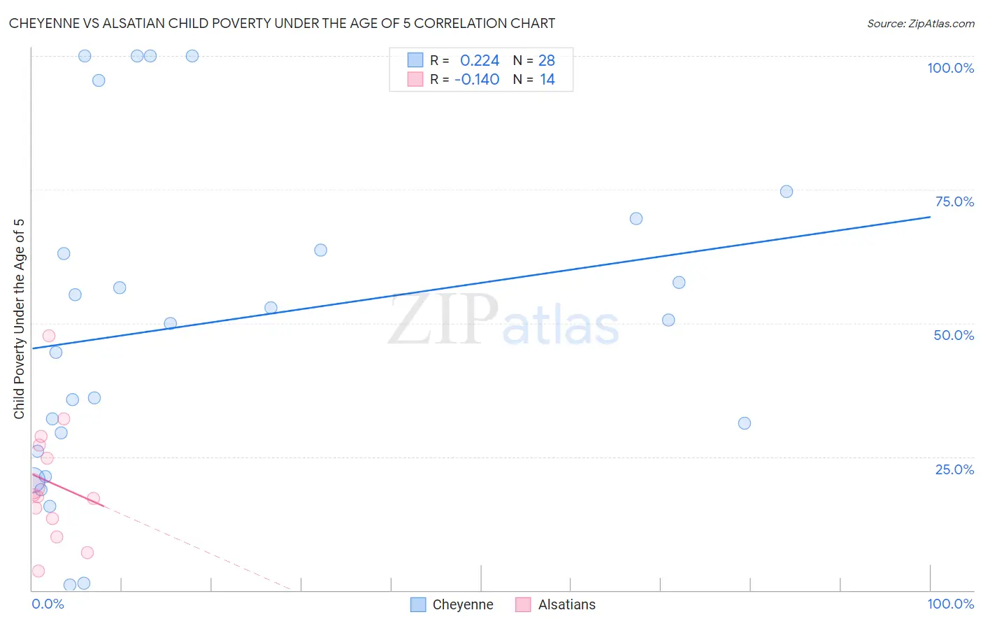 Cheyenne vs Alsatian Child Poverty Under the Age of 5