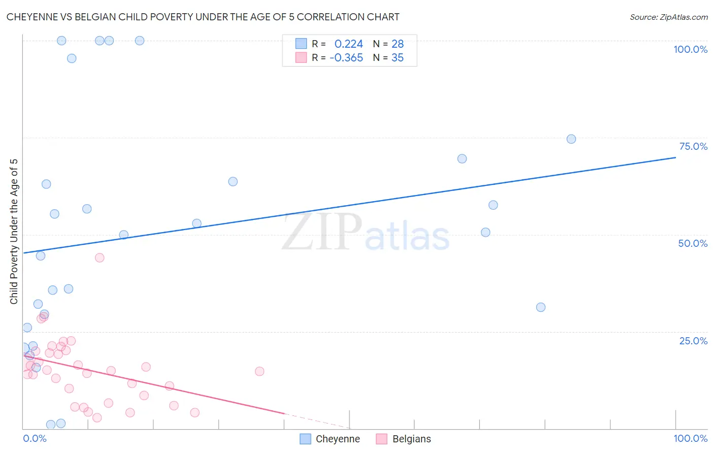 Cheyenne vs Belgian Child Poverty Under the Age of 5