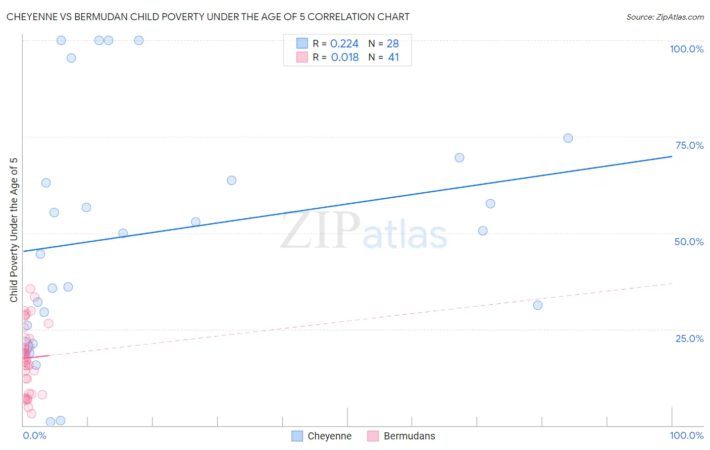 Cheyenne vs Bermudan Child Poverty Under the Age of 5