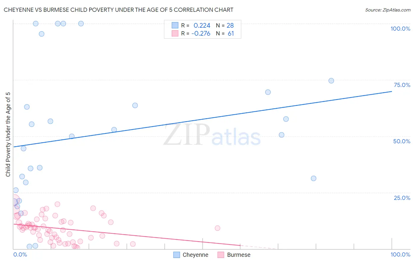 Cheyenne vs Burmese Child Poverty Under the Age of 5