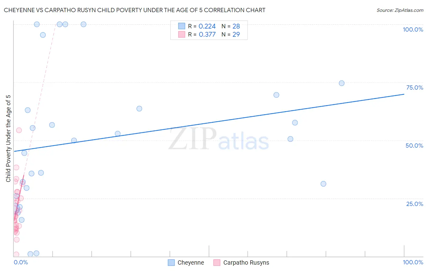Cheyenne vs Carpatho Rusyn Child Poverty Under the Age of 5