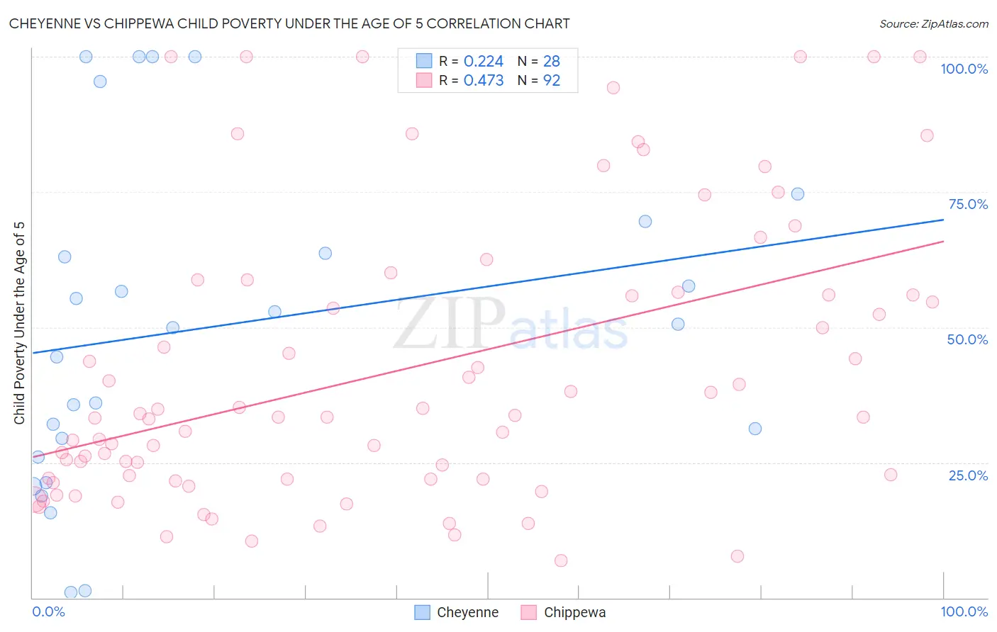 Cheyenne vs Chippewa Child Poverty Under the Age of 5