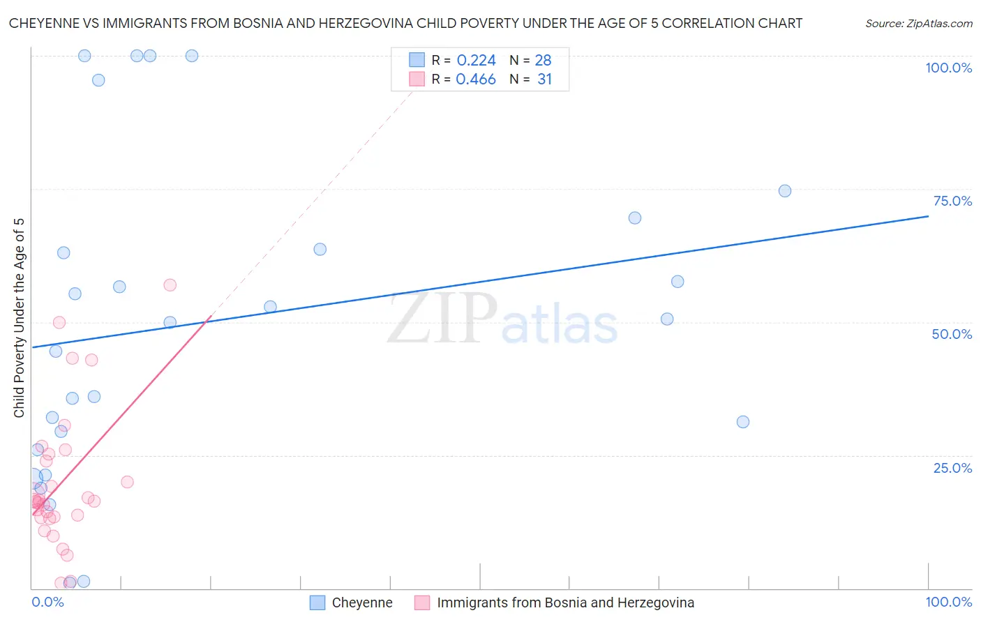 Cheyenne vs Immigrants from Bosnia and Herzegovina Child Poverty Under the Age of 5