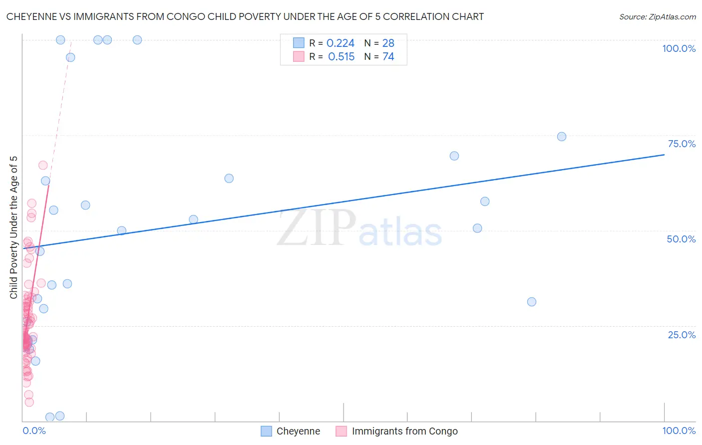 Cheyenne vs Immigrants from Congo Child Poverty Under the Age of 5