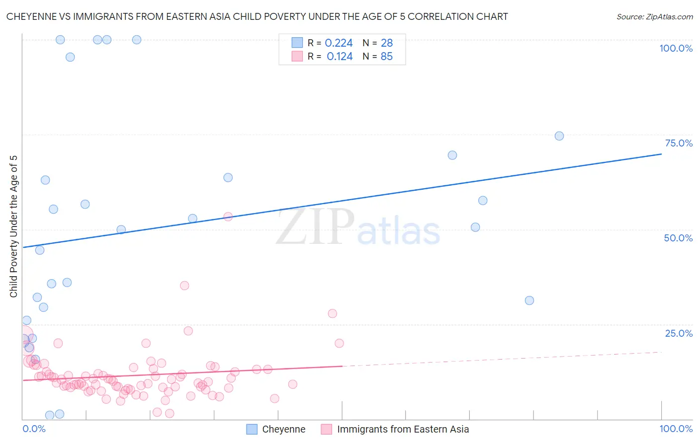 Cheyenne vs Immigrants from Eastern Asia Child Poverty Under the Age of 5
