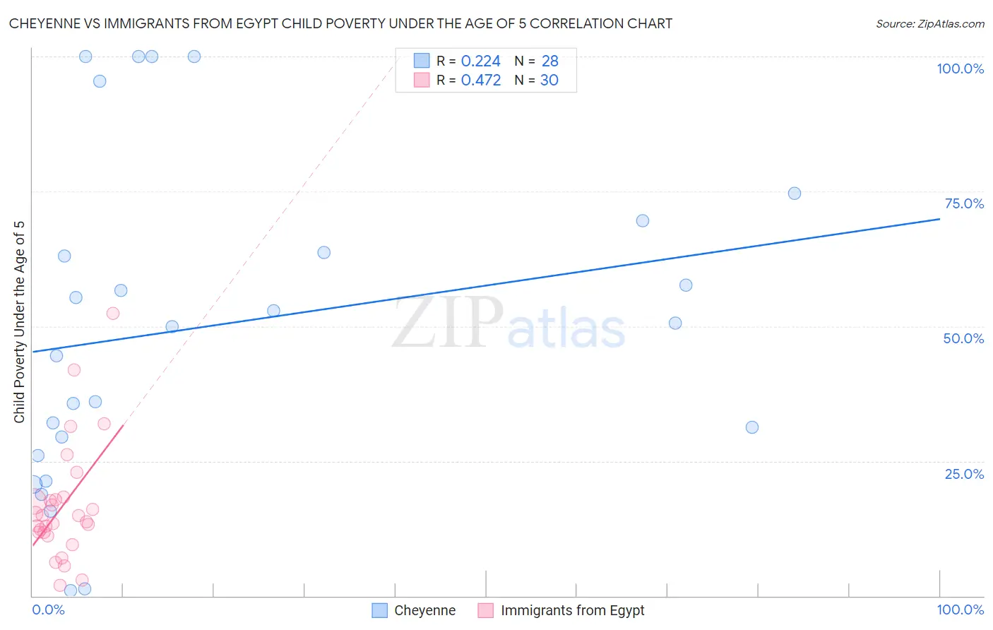Cheyenne vs Immigrants from Egypt Child Poverty Under the Age of 5