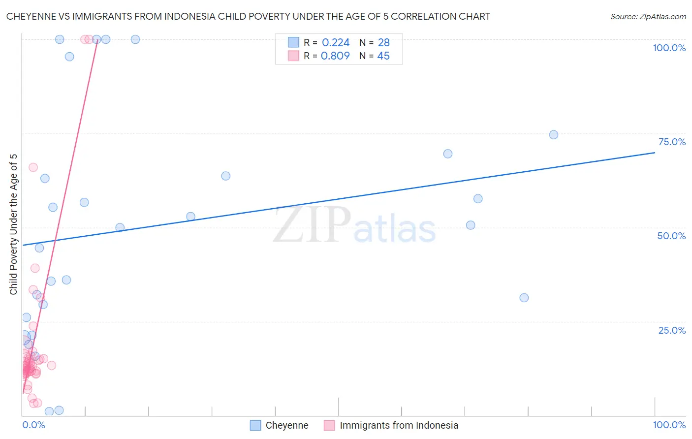 Cheyenne vs Immigrants from Indonesia Child Poverty Under the Age of 5