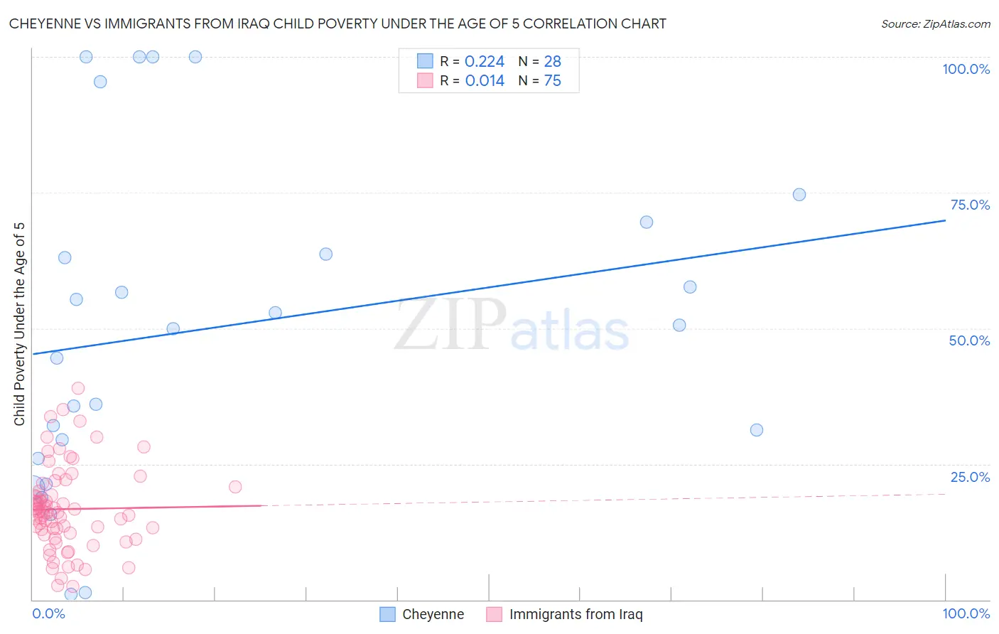 Cheyenne vs Immigrants from Iraq Child Poverty Under the Age of 5