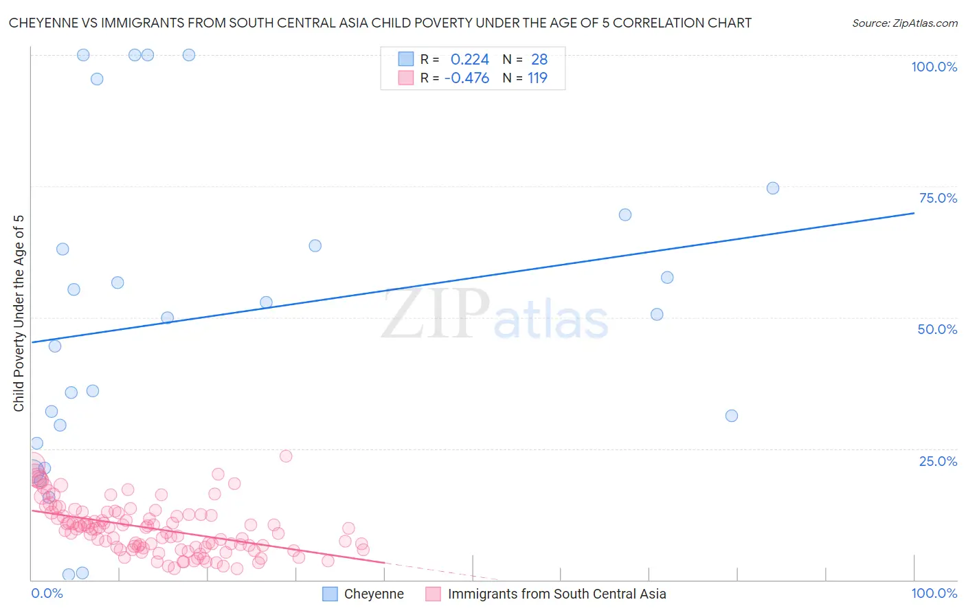 Cheyenne vs Immigrants from South Central Asia Child Poverty Under the Age of 5