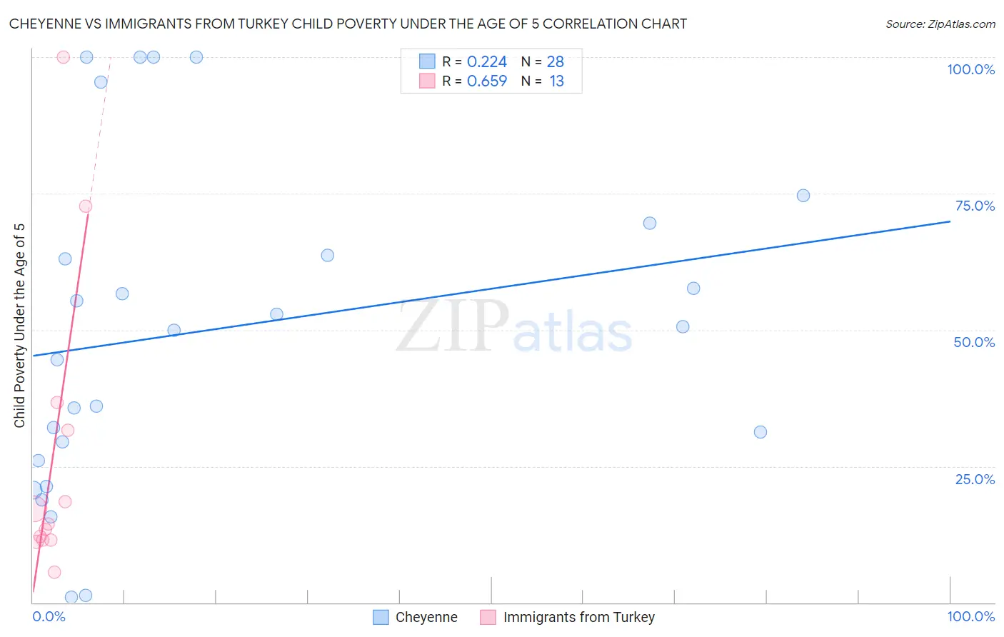 Cheyenne vs Immigrants from Turkey Child Poverty Under the Age of 5