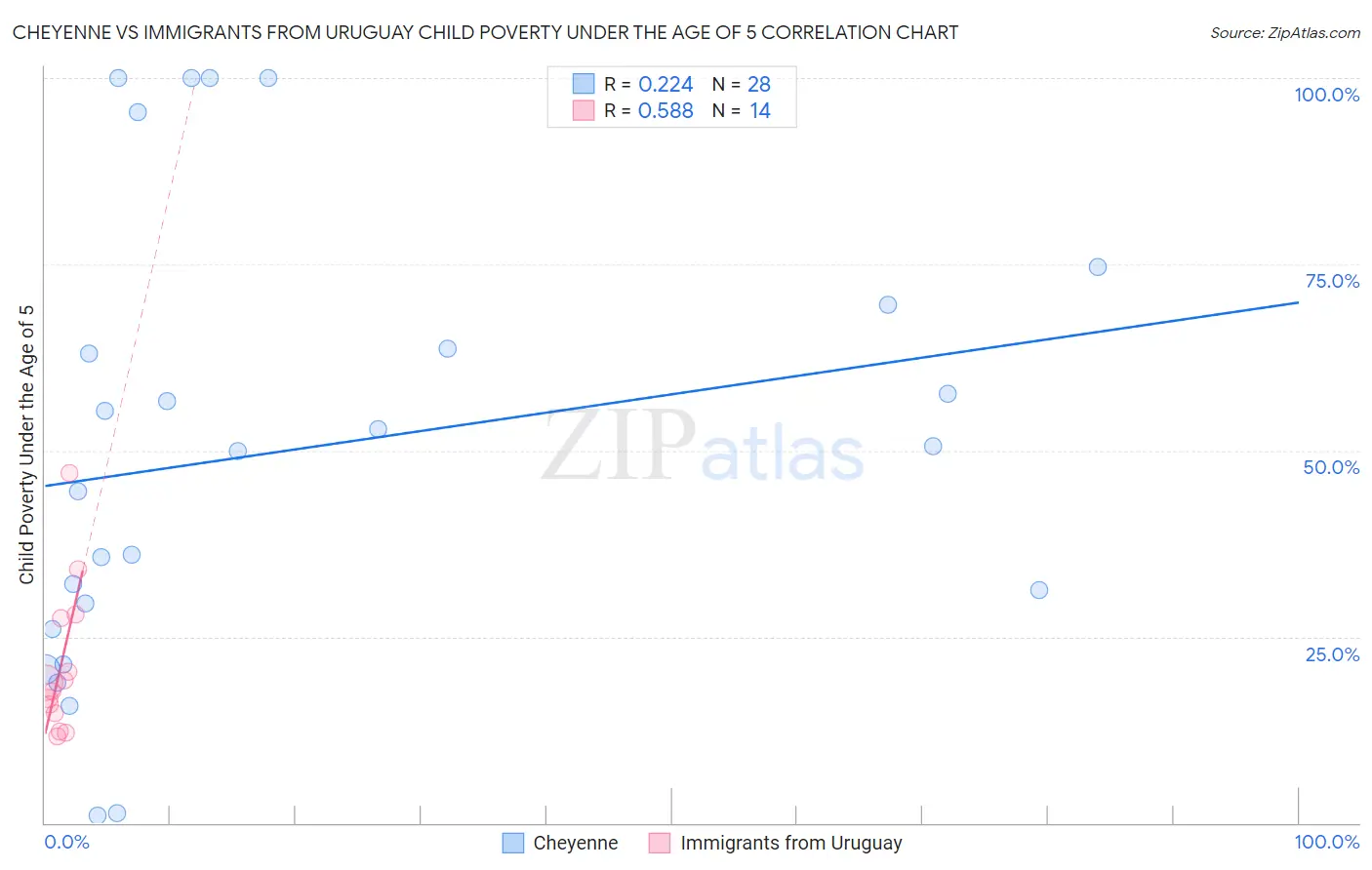 Cheyenne vs Immigrants from Uruguay Child Poverty Under the Age of 5