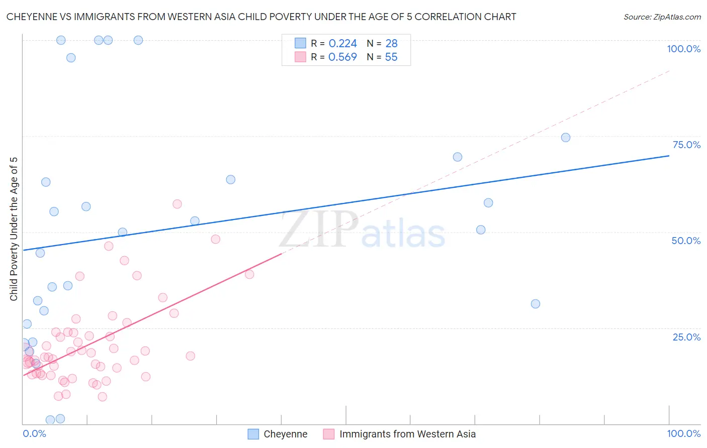 Cheyenne vs Immigrants from Western Asia Child Poverty Under the Age of 5