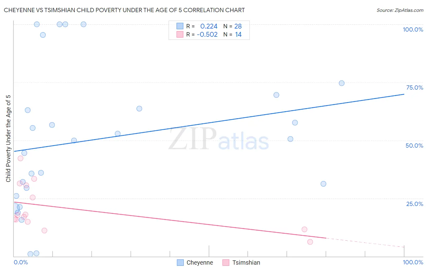 Cheyenne vs Tsimshian Child Poverty Under the Age of 5