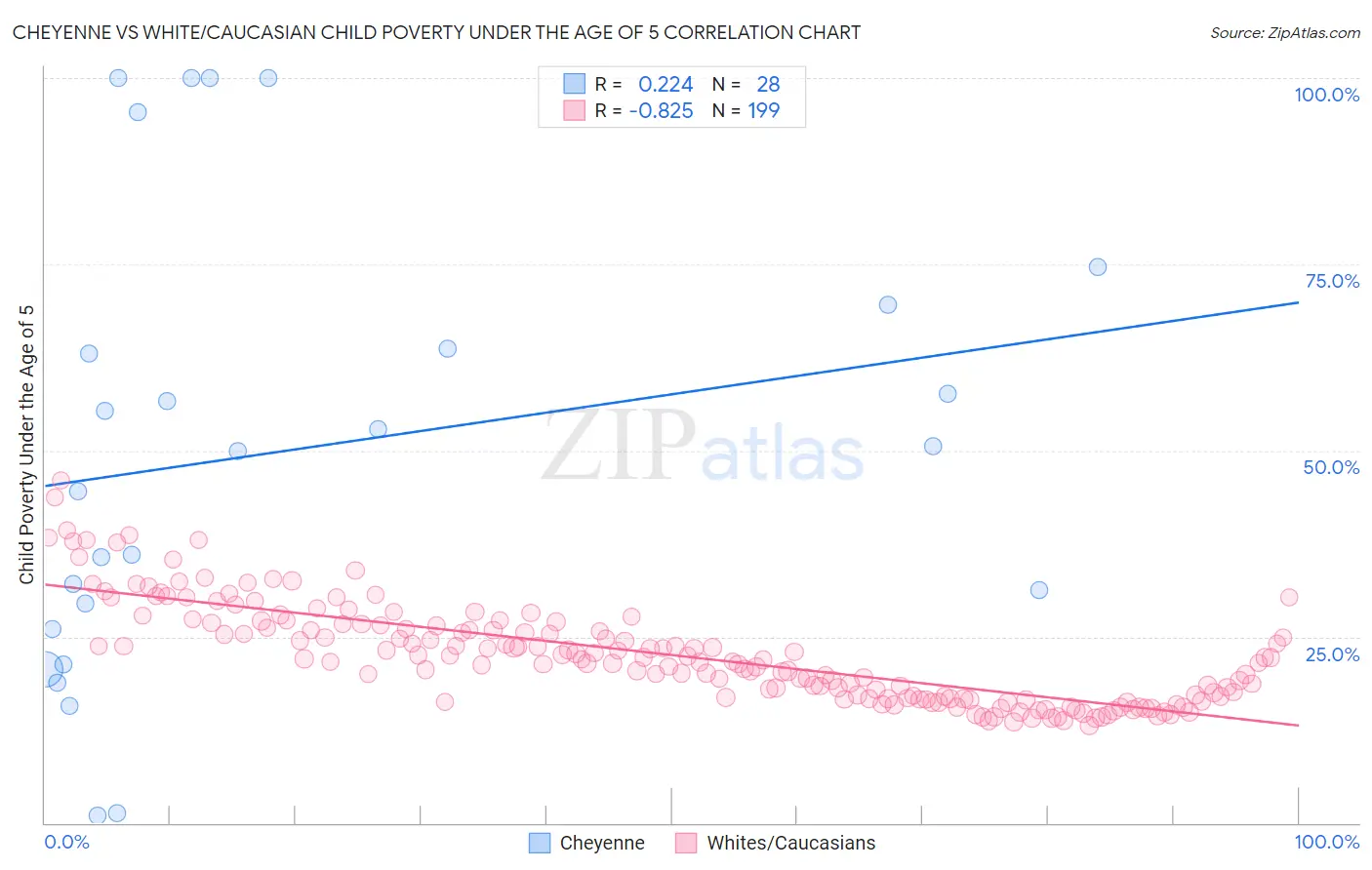Cheyenne vs White/Caucasian Child Poverty Under the Age of 5