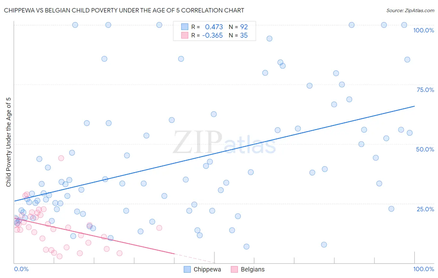 Chippewa vs Belgian Child Poverty Under the Age of 5