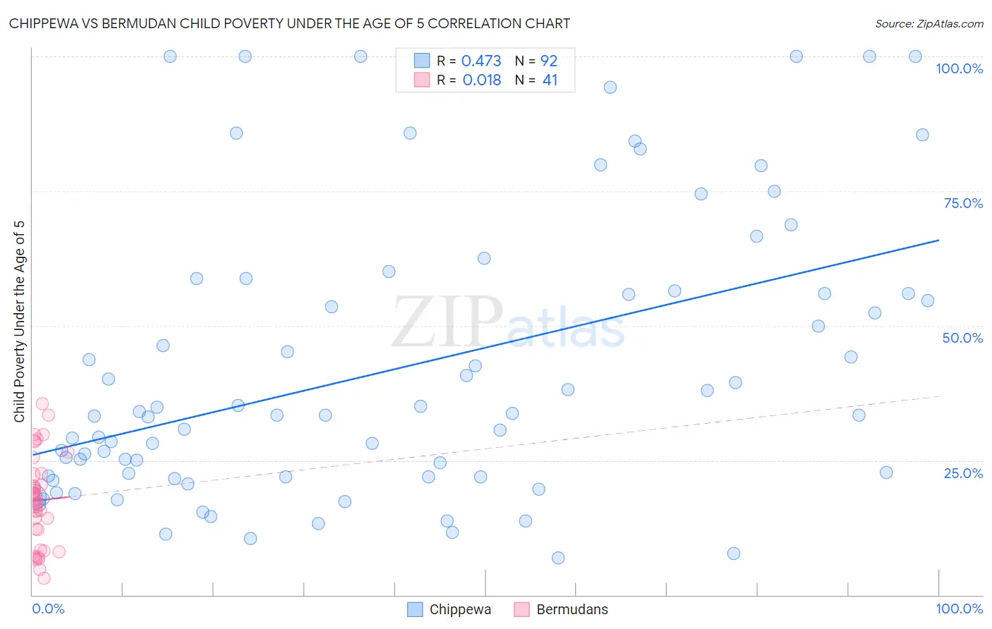 Chippewa vs Bermudan Child Poverty Under the Age of 5