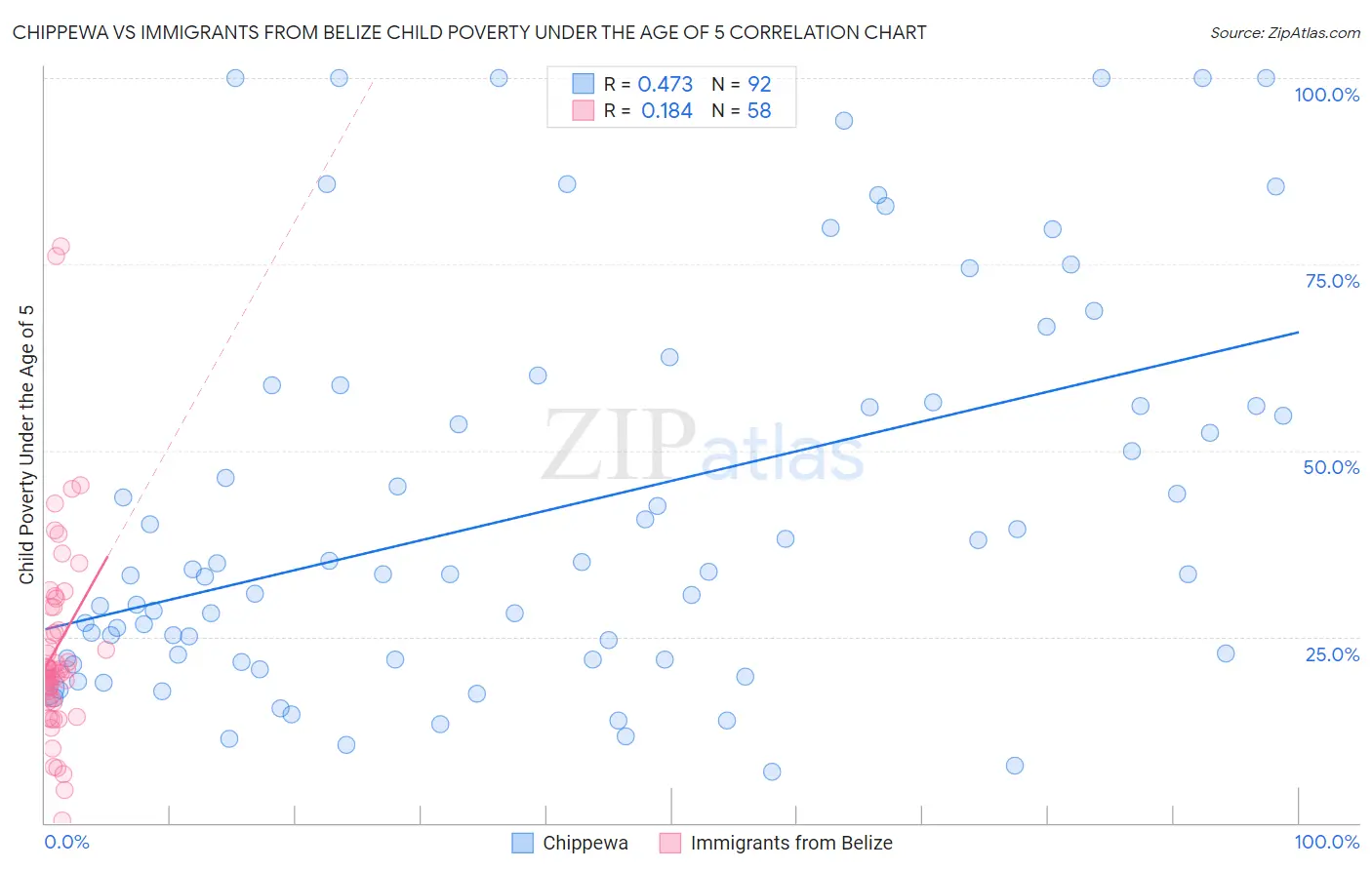 Chippewa vs Immigrants from Belize Child Poverty Under the Age of 5