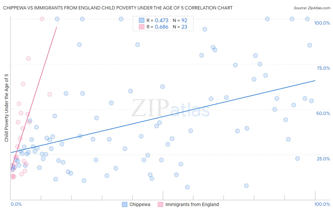 Chippewa vs Immigrants from England Child Poverty Under the Age of 5