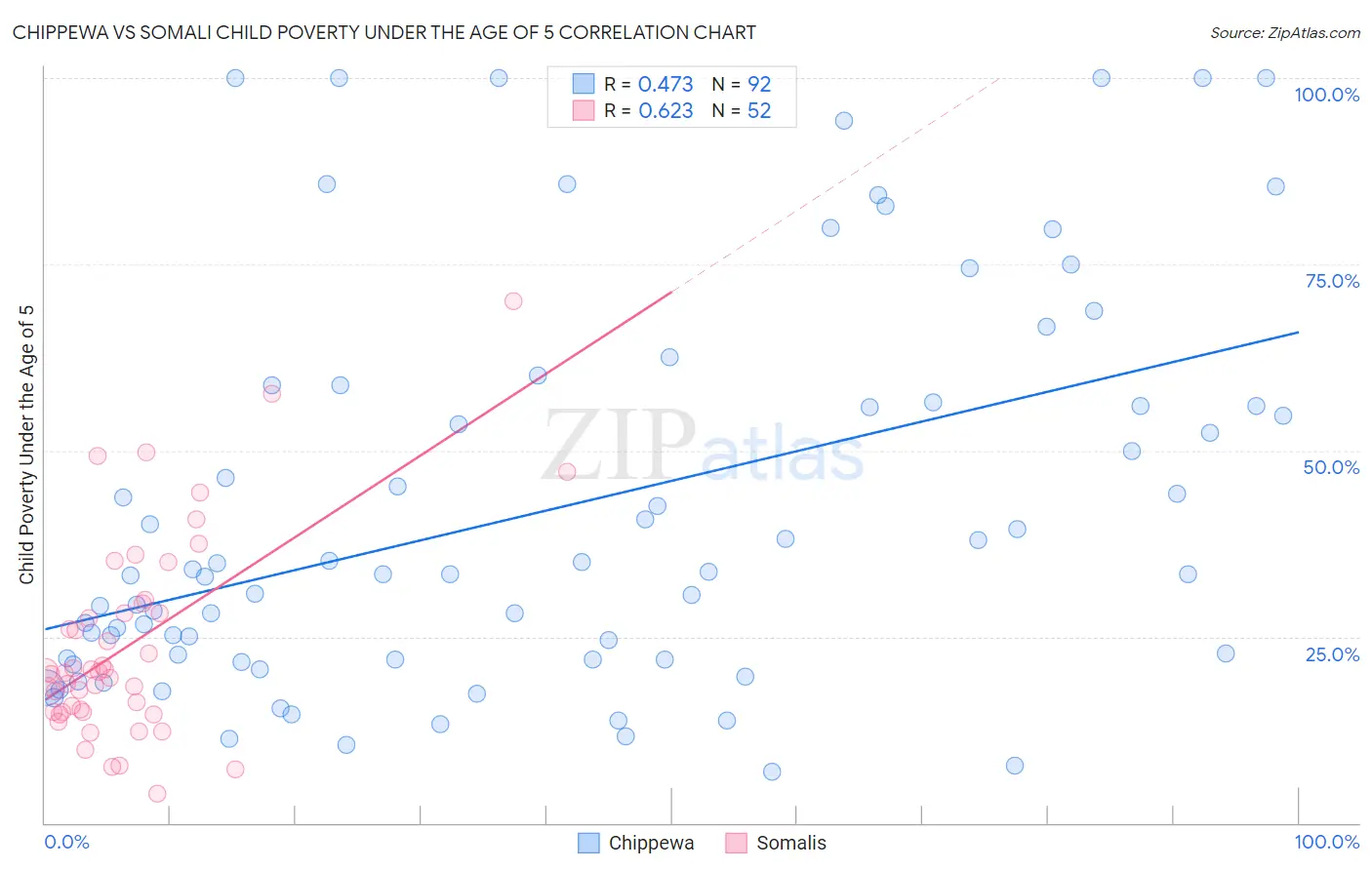 Chippewa vs Somali Child Poverty Under the Age of 5