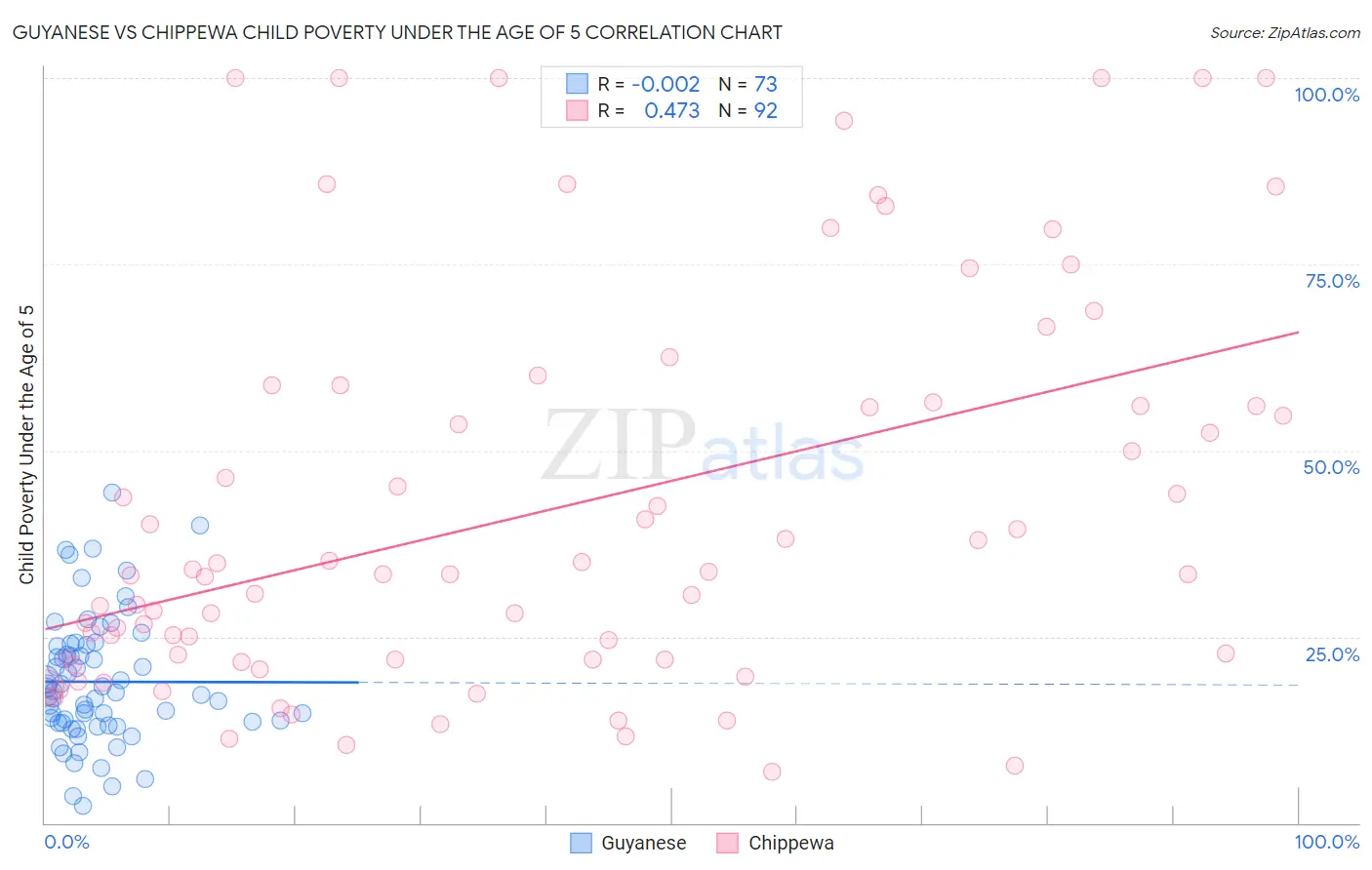 Guyanese vs Chippewa Child Poverty Under the Age of 5
