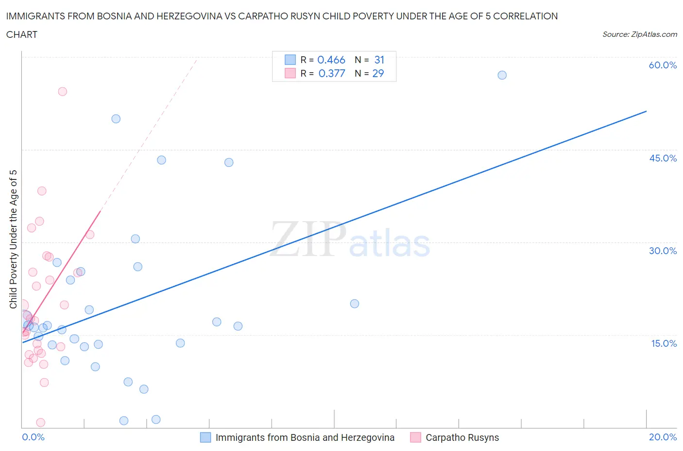 Immigrants from Bosnia and Herzegovina vs Carpatho Rusyn Child Poverty Under the Age of 5
