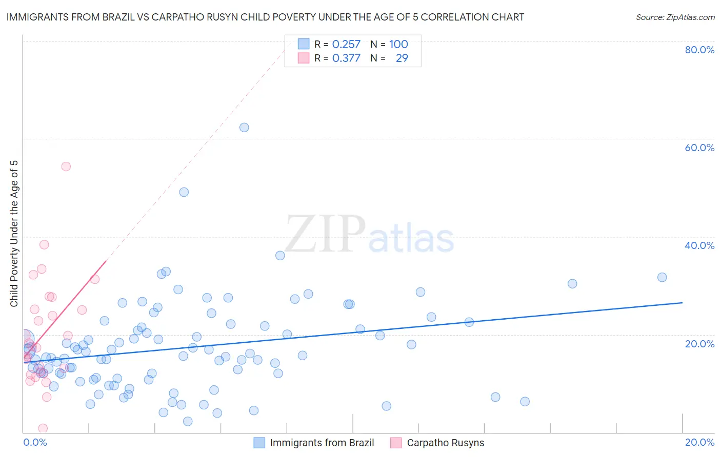 Immigrants from Brazil vs Carpatho Rusyn Child Poverty Under the Age of 5