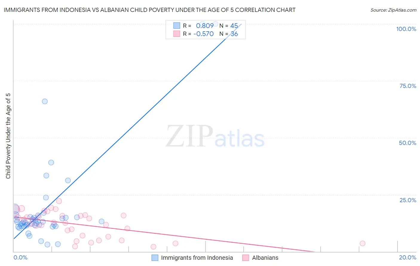 Immigrants from Indonesia vs Albanian Child Poverty Under the Age of 5