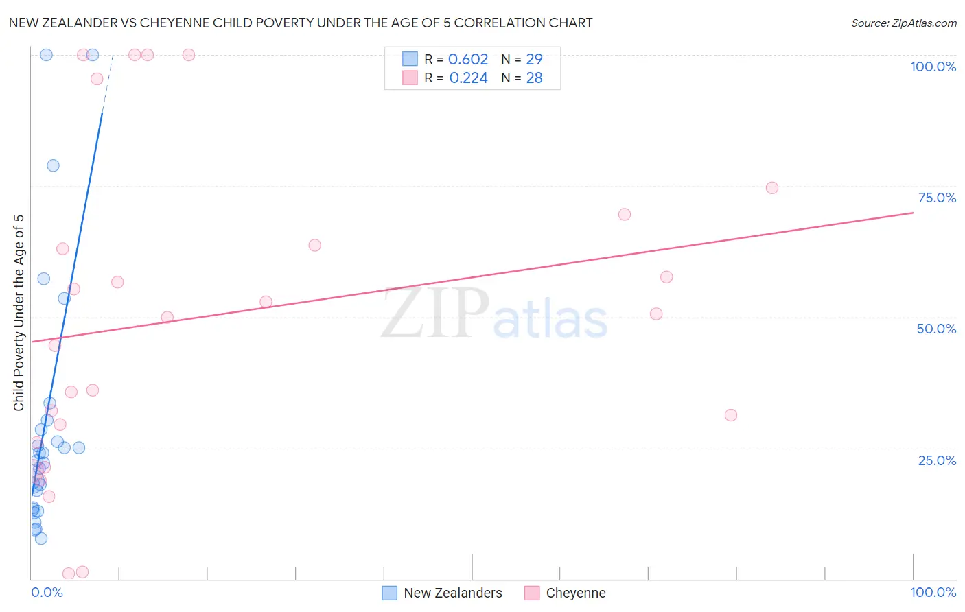 New Zealander vs Cheyenne Child Poverty Under the Age of 5