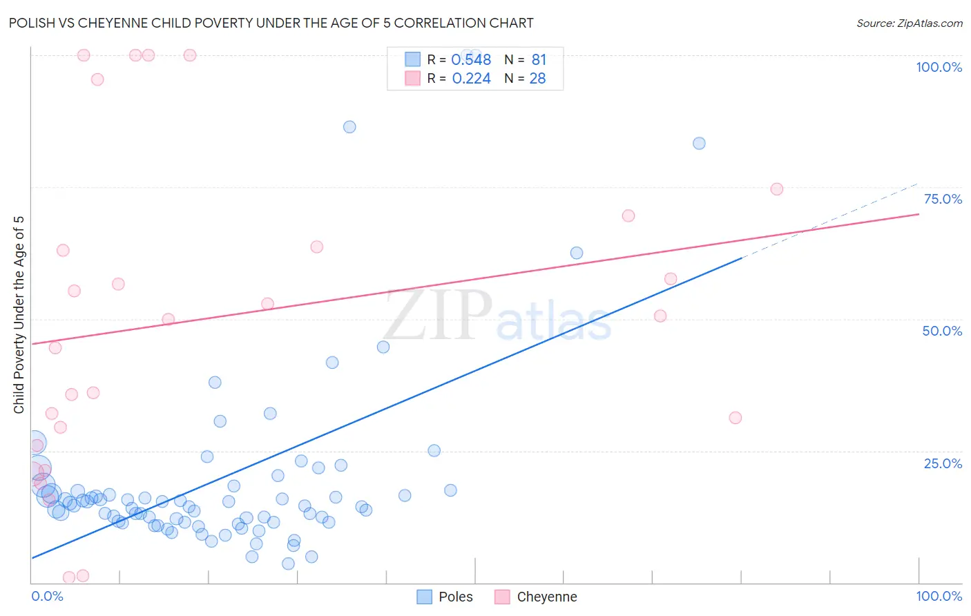 Polish vs Cheyenne Child Poverty Under the Age of 5