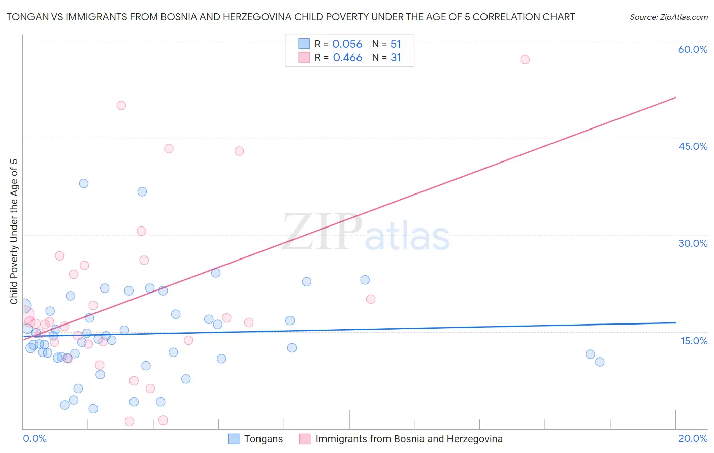 Tongan vs Immigrants from Bosnia and Herzegovina Child Poverty Under the Age of 5