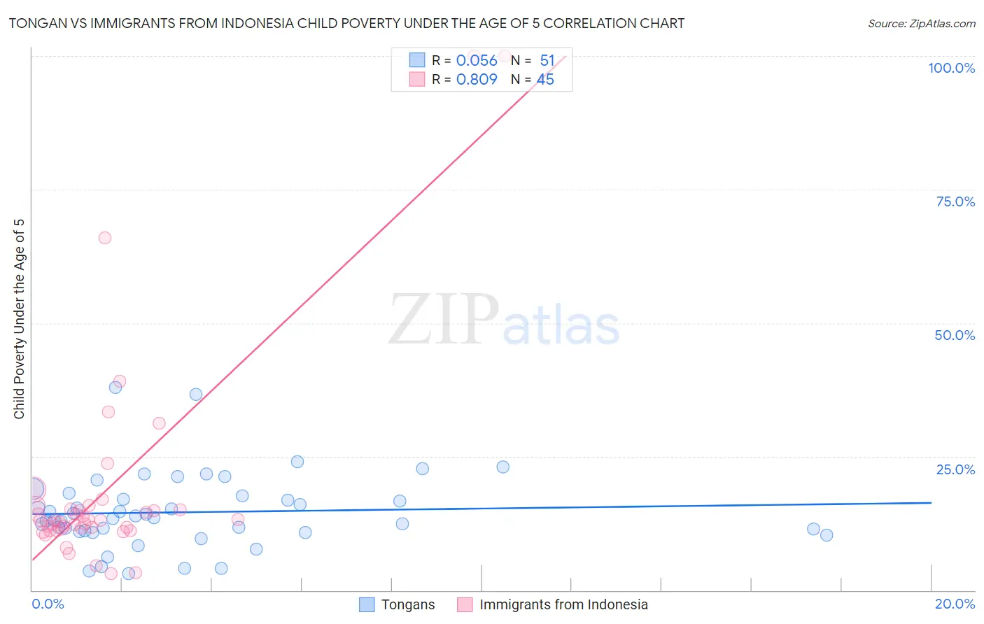 Tongan vs Immigrants from Indonesia Child Poverty Under the Age of 5