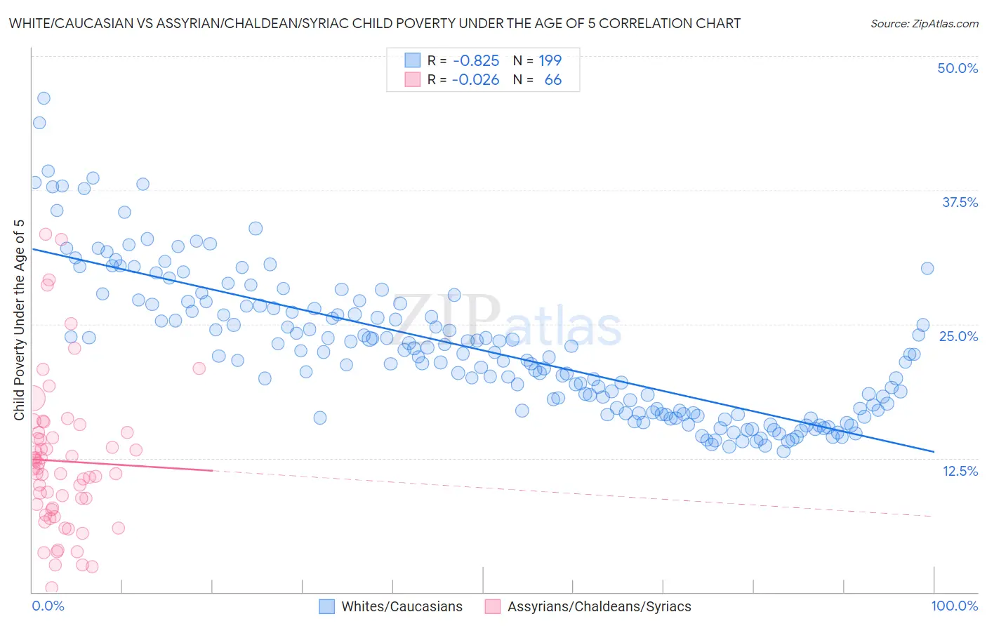 White/Caucasian vs Assyrian/Chaldean/Syriac Child Poverty Under the Age of 5