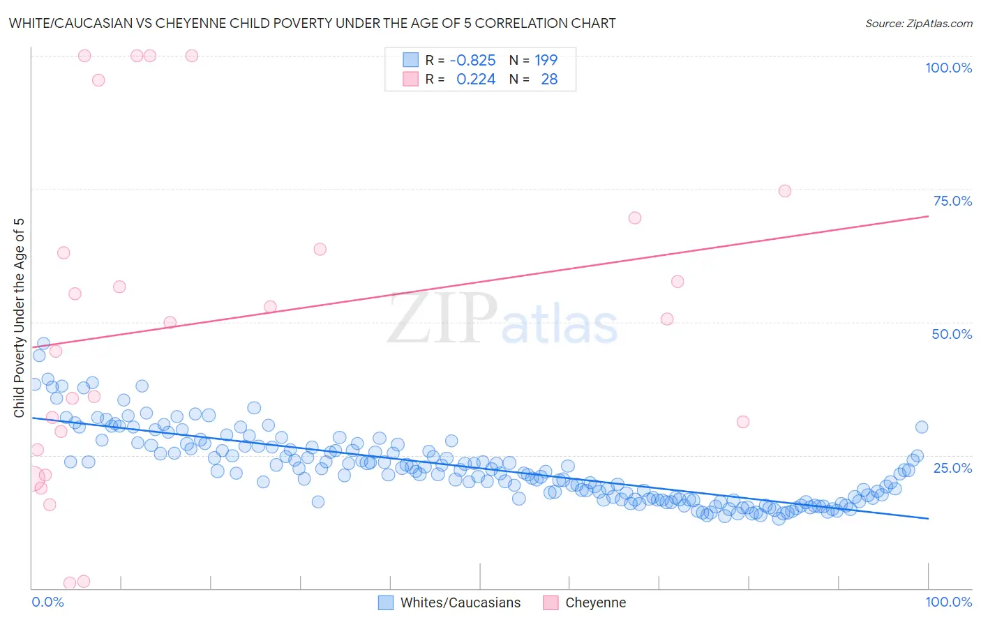 White/Caucasian vs Cheyenne Child Poverty Under the Age of 5