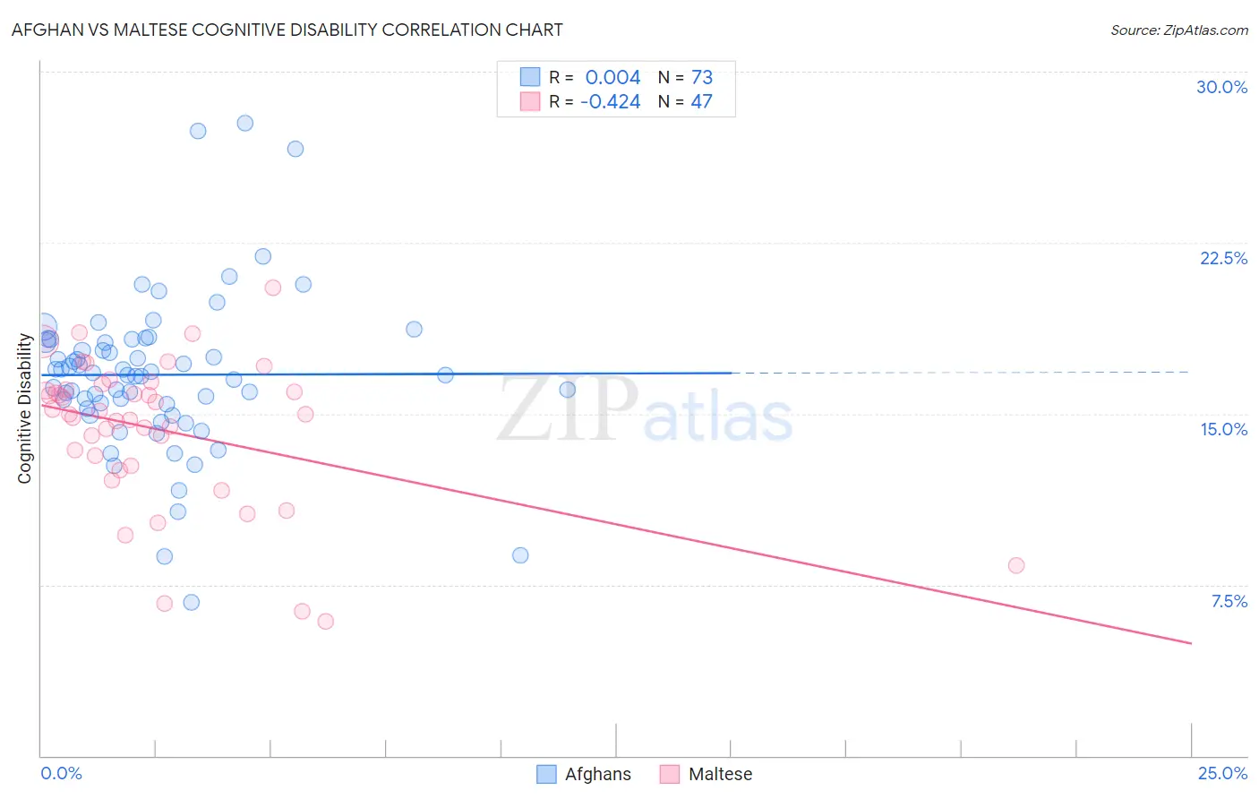 Afghan vs Maltese Cognitive Disability