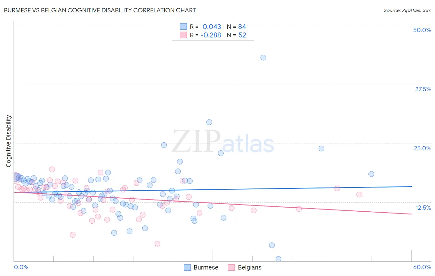 Burmese vs Belgian Cognitive Disability