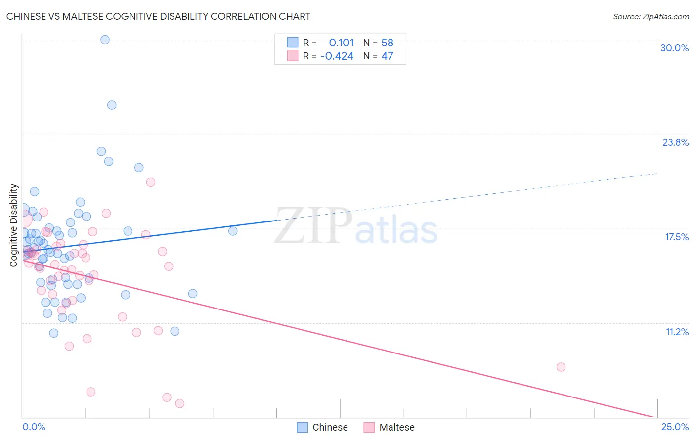 Chinese vs Maltese Cognitive Disability