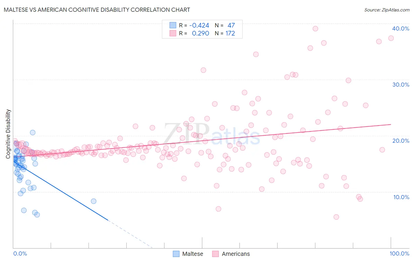 Maltese vs American Cognitive Disability