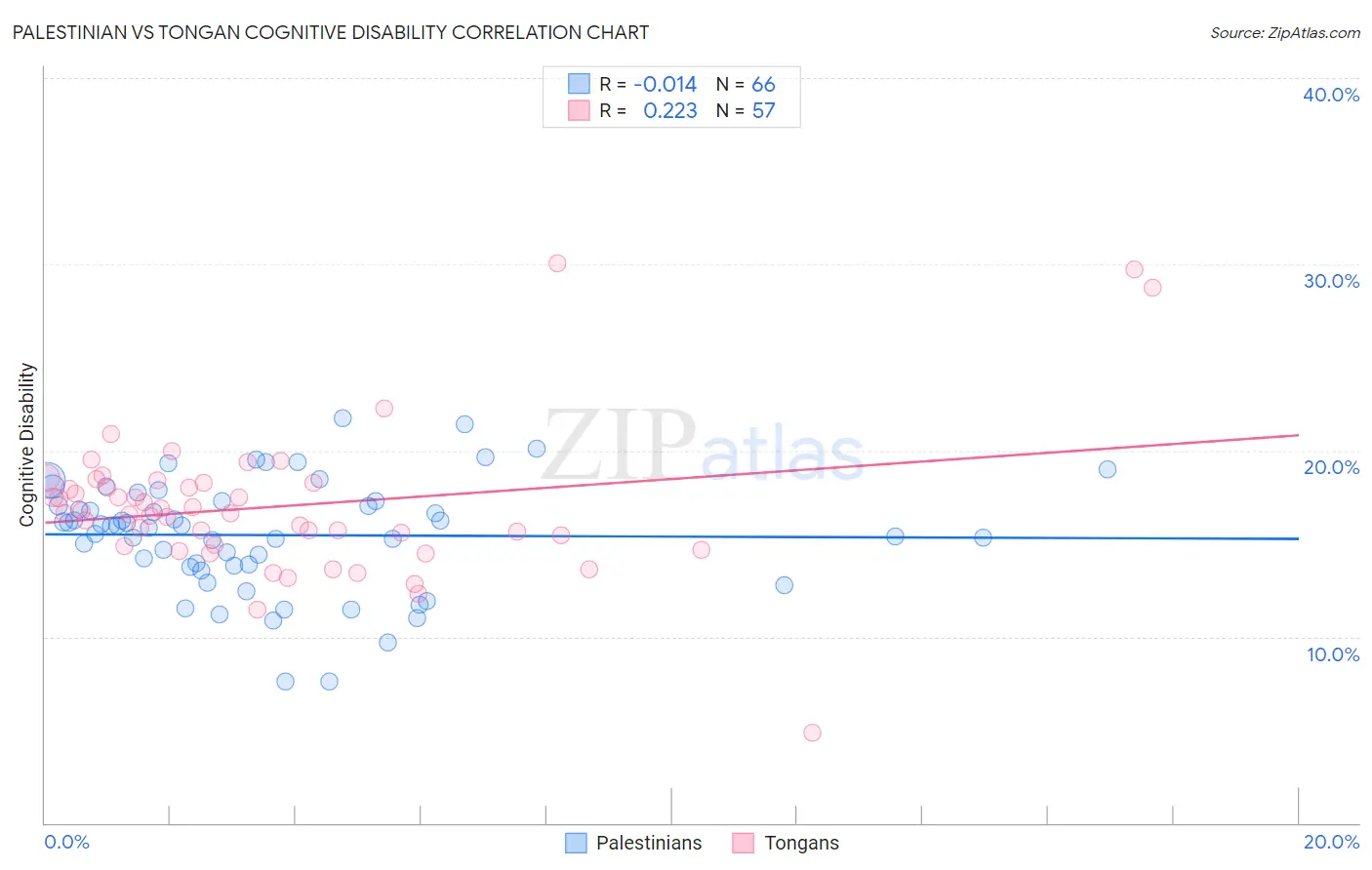 Palestinian vs Tongan Cognitive Disability