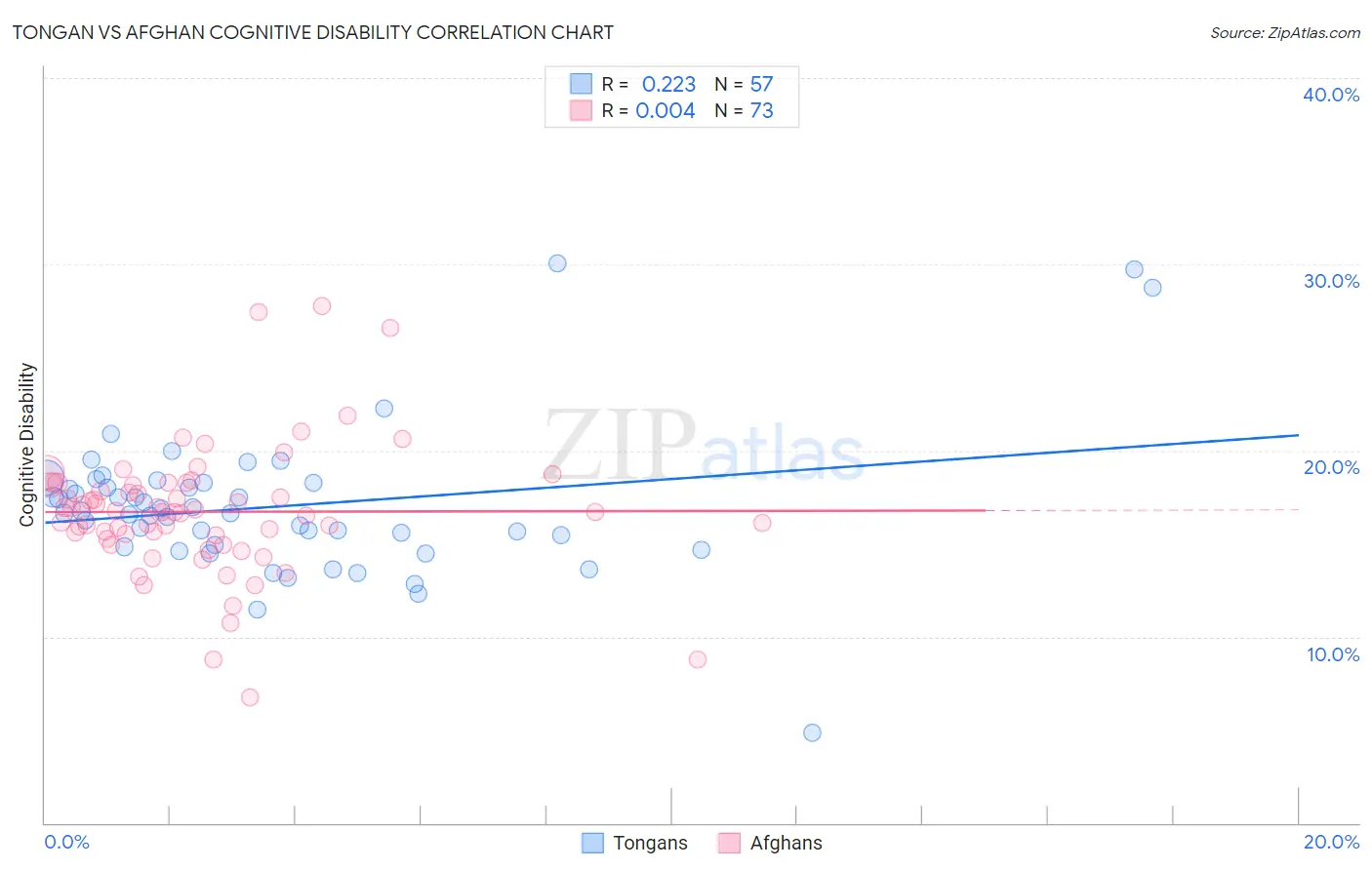 Tongan vs Afghan Cognitive Disability