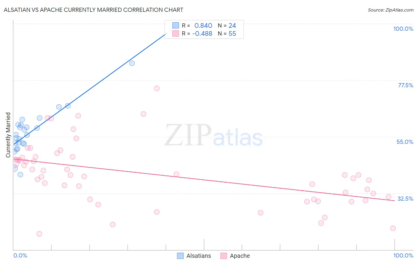 Alsatian vs Apache Currently Married
