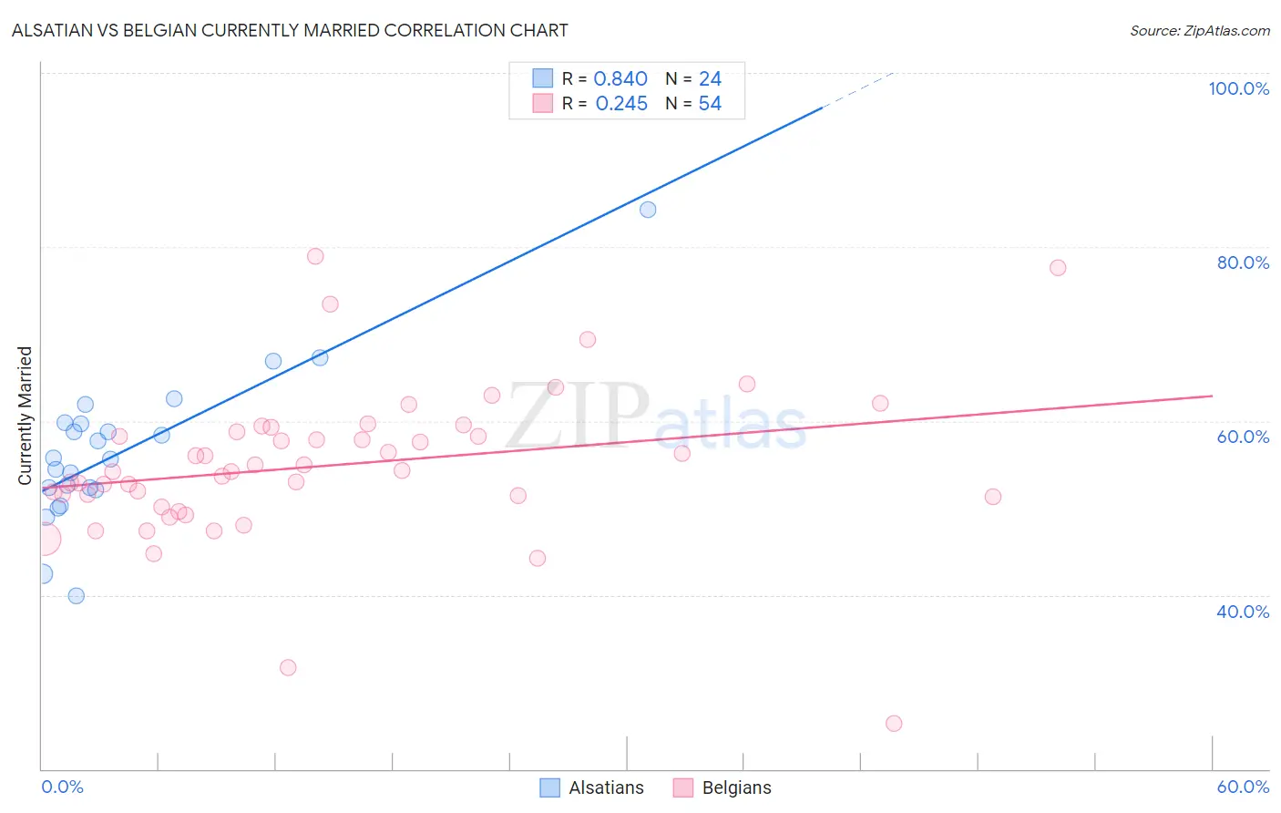 Alsatian vs Belgian Currently Married