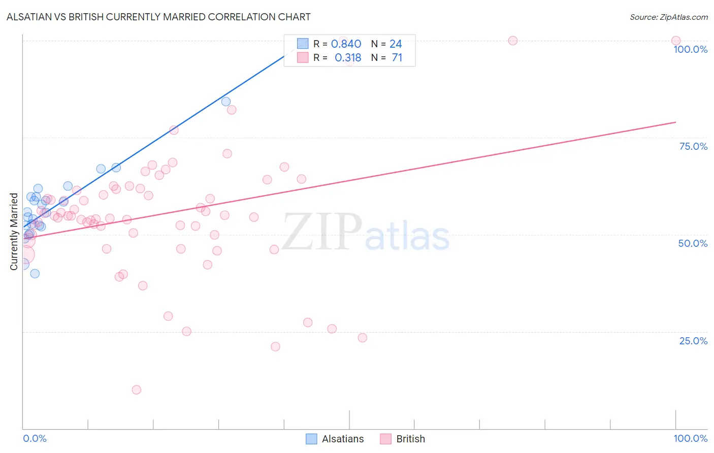 Alsatian vs British Currently Married