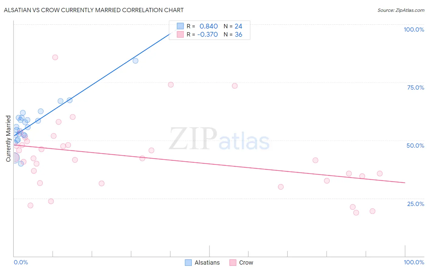 Alsatian vs Crow Currently Married