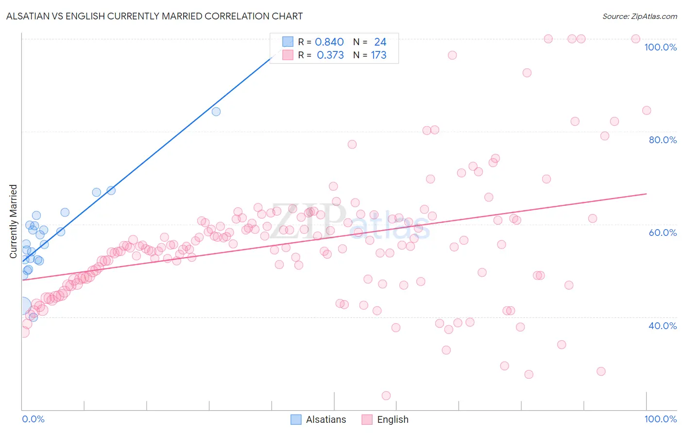 Alsatian vs English Currently Married