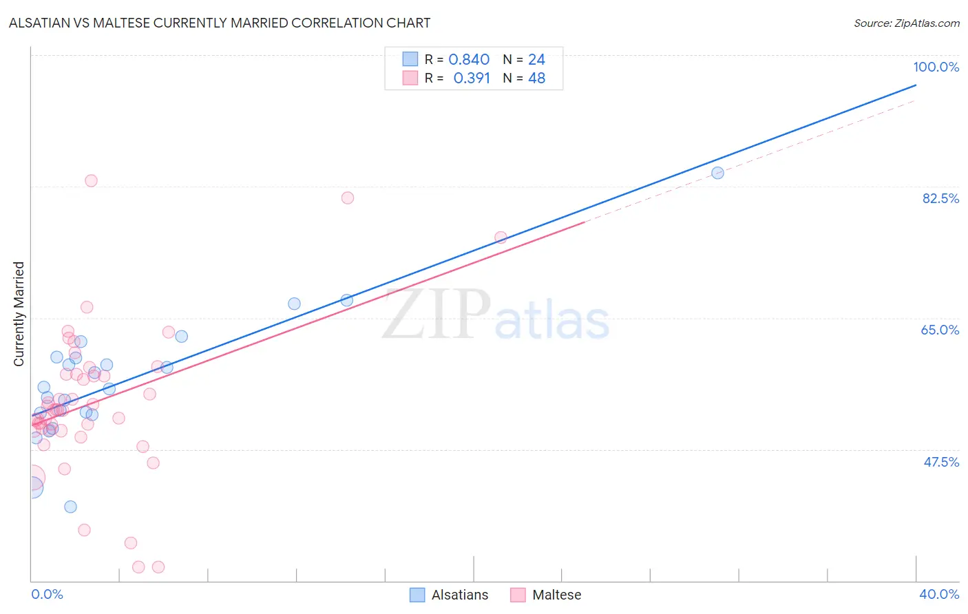 Alsatian vs Maltese Currently Married