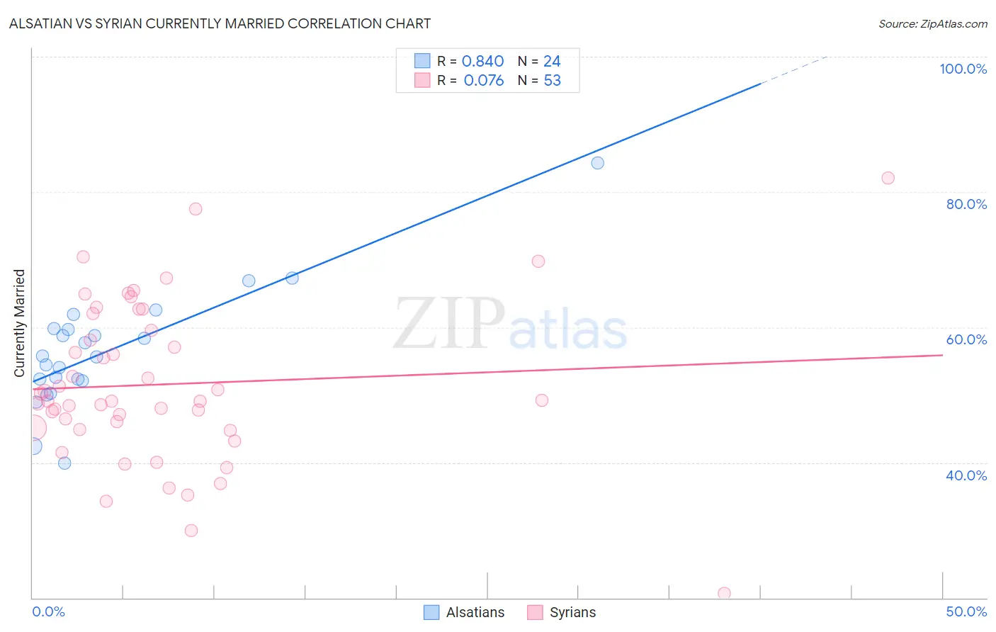 Alsatian vs Syrian Currently Married
